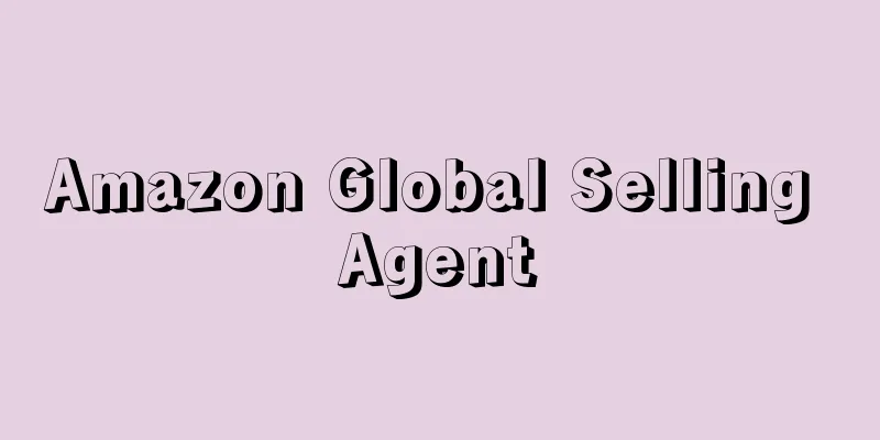 Amazon Global Selling Agent