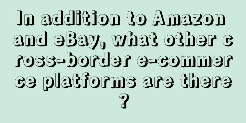In addition to Amazon and eBay, what other cross-border e-commerce platforms are there?