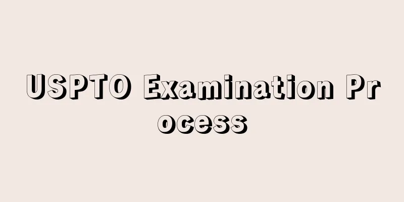 USPTO Examination Process