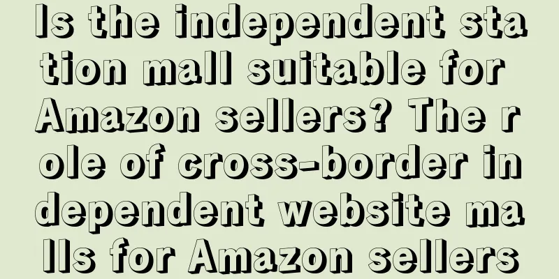 Is the independent station mall suitable for Amazon sellers? The role of cross-border independent website malls for Amazon sellers