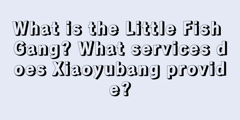 What is the Little Fish Gang? What services does Xiaoyubang provide?
