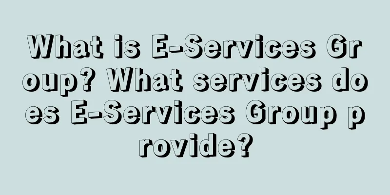 What is E-Services Group? What services does E-Services Group provide?