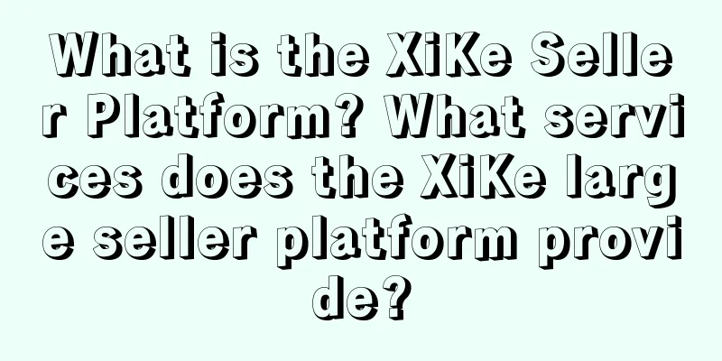What is the XiKe Seller Platform? What services does the XiKe large seller platform provide?