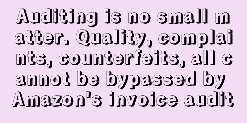 Auditing is no small matter. Quality, complaints, counterfeits, all cannot be bypassed by Amazon's invoice audit