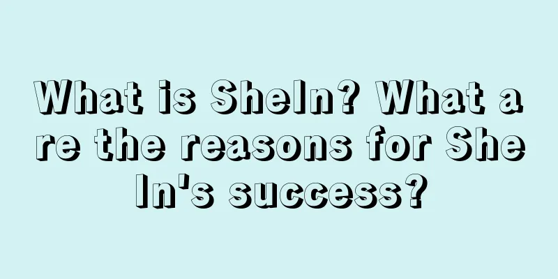 What is SheIn? What are the reasons for SheIn's success?