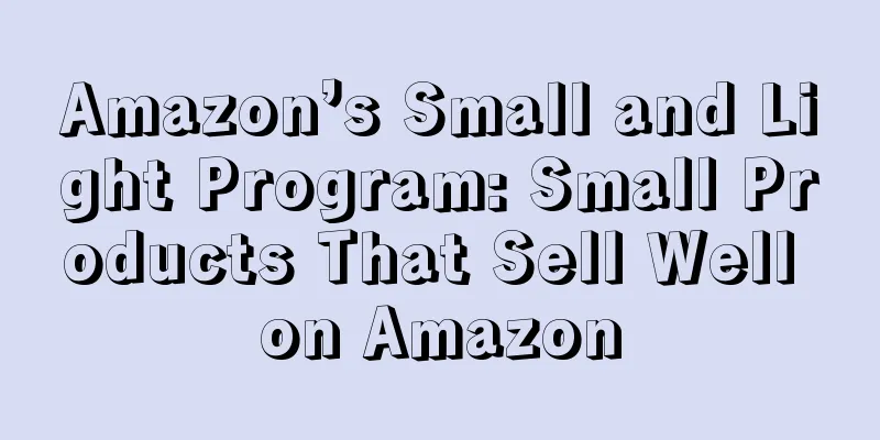 Amazon’s Small and Light Program: Small Products That Sell Well on Amazon