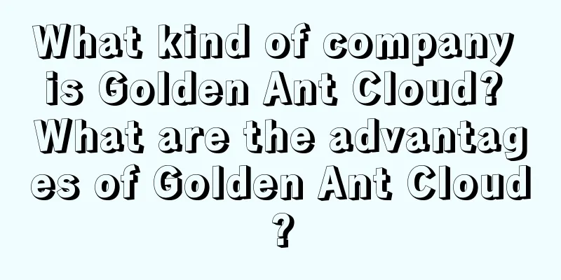 What kind of company is Golden Ant Cloud? What are the advantages of Golden Ant Cloud?