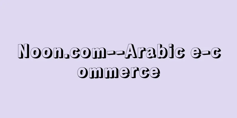 Noon.com--Arabic e-commerce