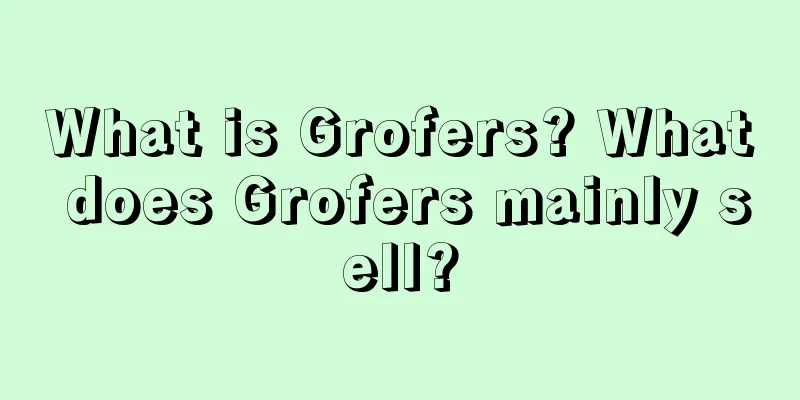 What is Grofers? What does Grofers mainly sell?