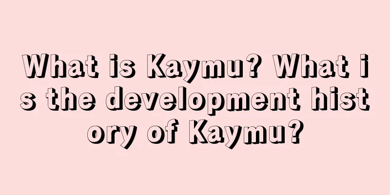 What is Kaymu? What is the development history of Kaymu?