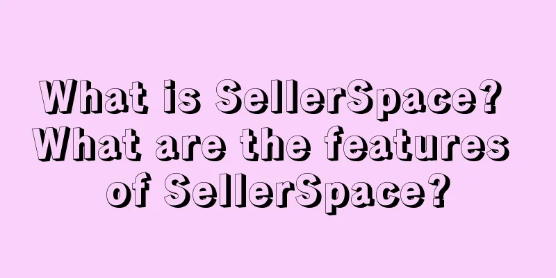 What is SellerSpace? What are the features of SellerSpace?