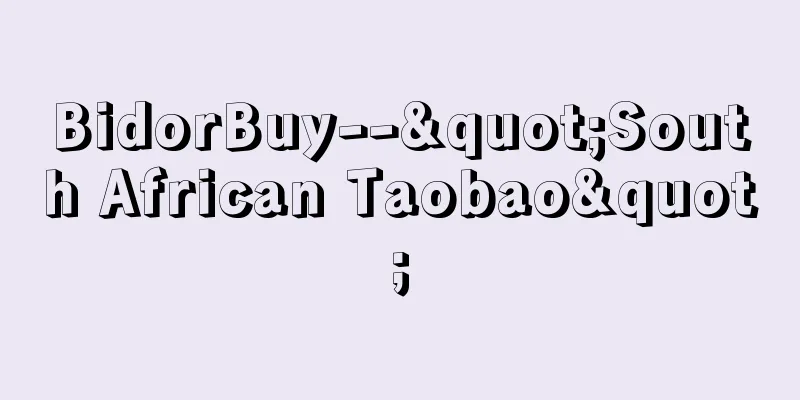 BidorBuy--"South African Taobao"