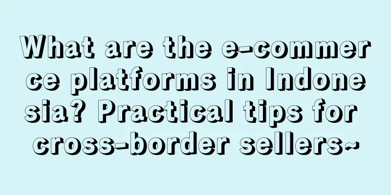 What are the e-commerce platforms in Indonesia? Practical tips for cross-border sellers~