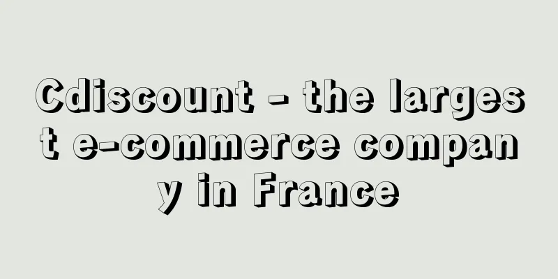Cdiscount - the largest e-commerce company in France