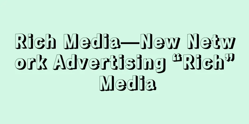 Rich Media—New Network Advertising “Rich” Media