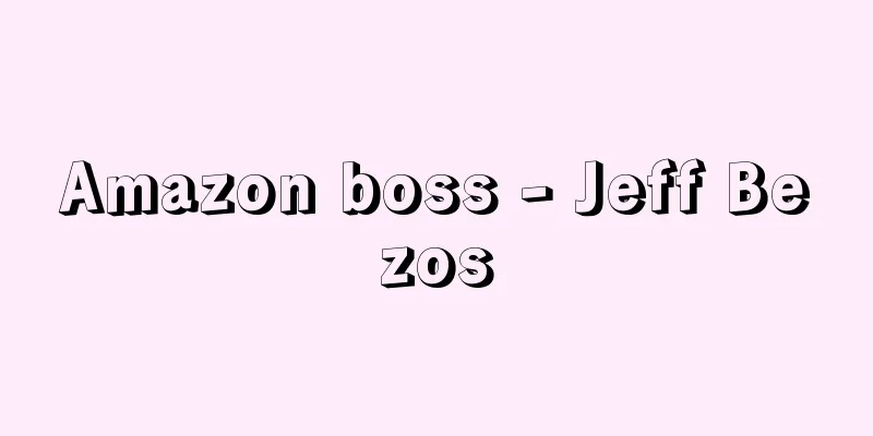 Amazon boss - Jeff Bezos
