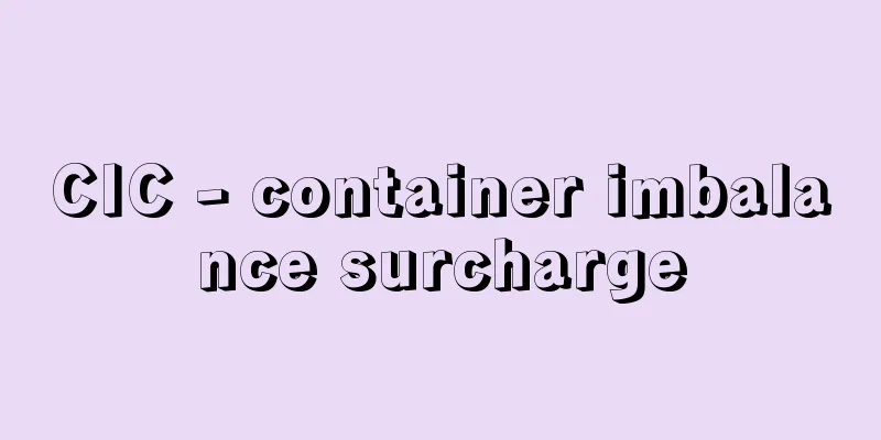 CIC - container imbalance surcharge