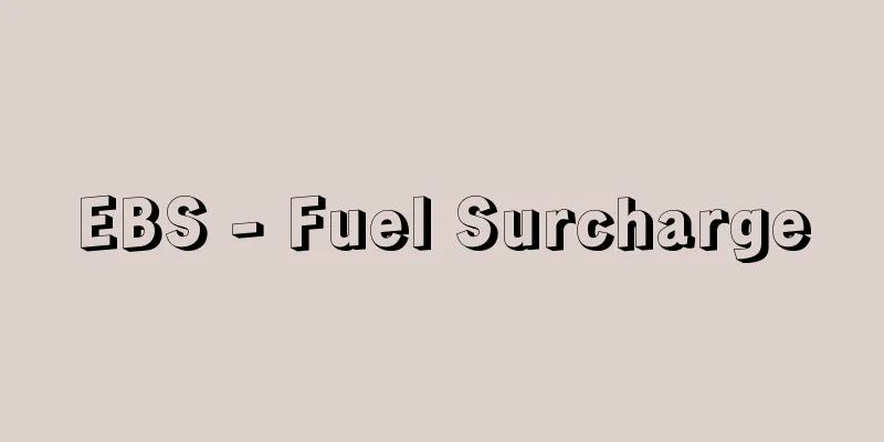 EBS - Fuel Surcharge