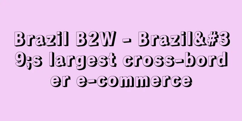 Brazil B2W - Brazil's largest cross-border e-commerce