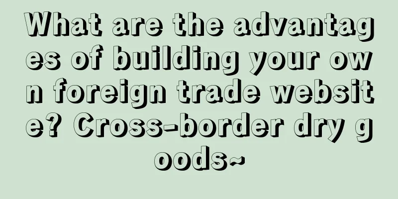 What are the advantages of building your own foreign trade website? Cross-border dry goods~