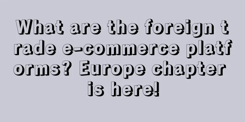 What are the foreign trade e-commerce platforms? Europe chapter is here!