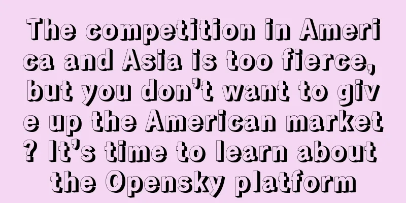 The competition in America and Asia is too fierce, but you don’t want to give up the American market? It’s time to learn about the Opensky platform