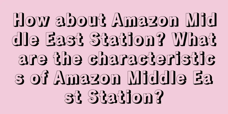 How about Amazon Middle East Station? What are the characteristics of Amazon Middle East Station?