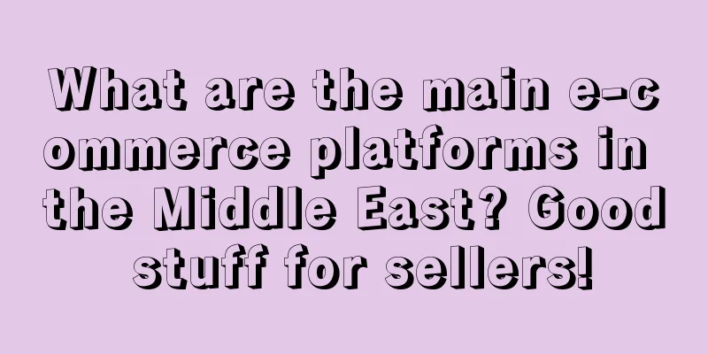 What are the main e-commerce platforms in the Middle East? Good stuff for sellers!